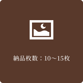 納品枚数：10～15枚