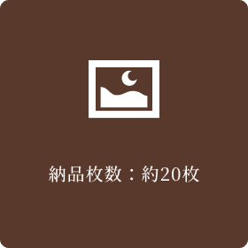 納品枚数：約20枚