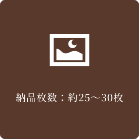 納品枚数：約25～30枚